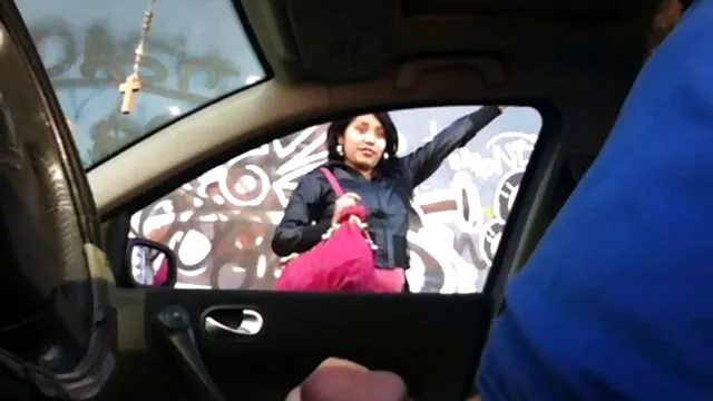 Látni egy kutyát, régi pornó filmek egy kutyát sétálva a városi parkban
